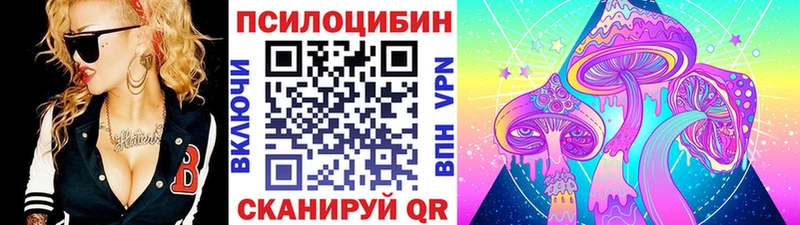 где найти   Бавлы  Псилоцибиновые грибы Psilocybine cubensis 